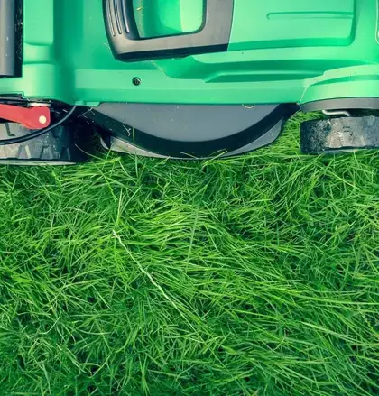 Lawnmower on grass