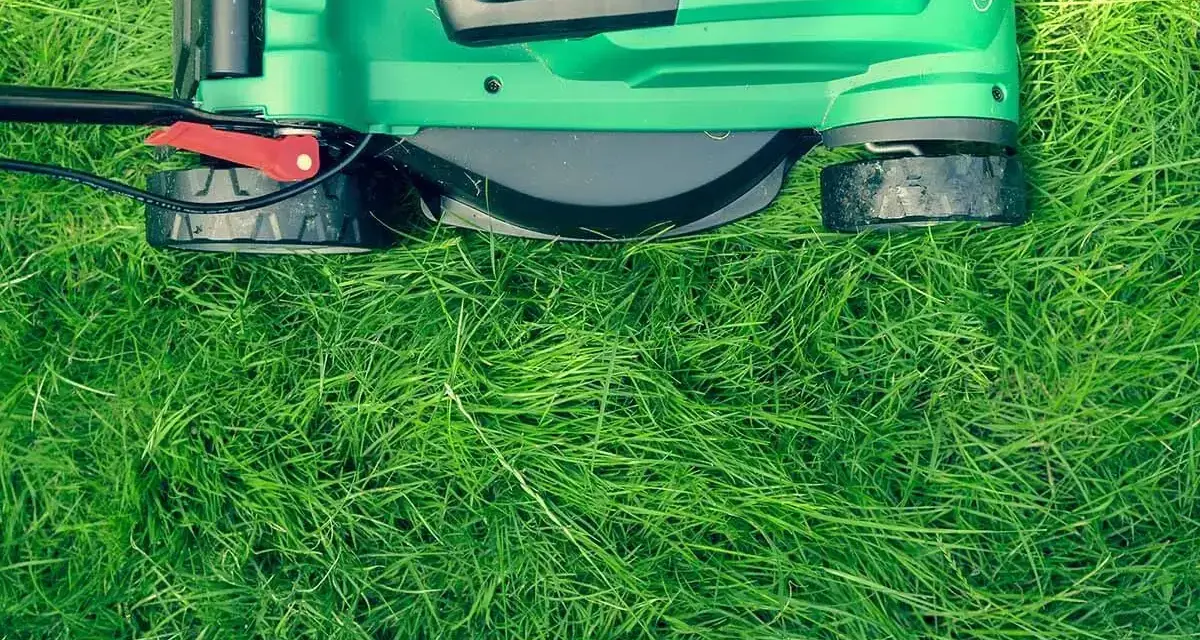 Lawnmower on grass