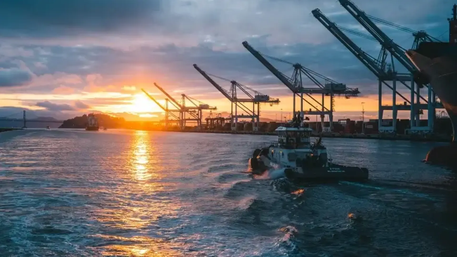 Boat in the shipping line port