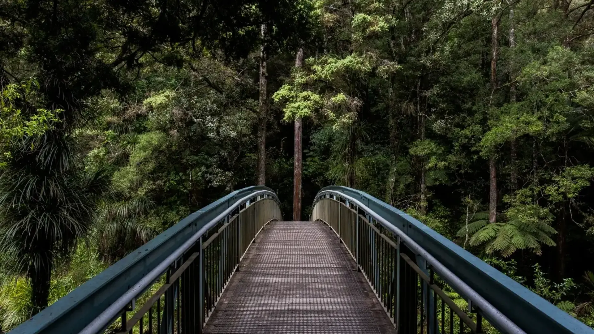 Bridge Crossing